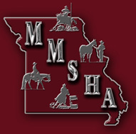 MMSHA Logo